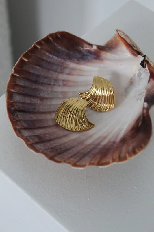 AfterlightImage 32.JPG